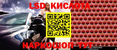 jwh Краснодар