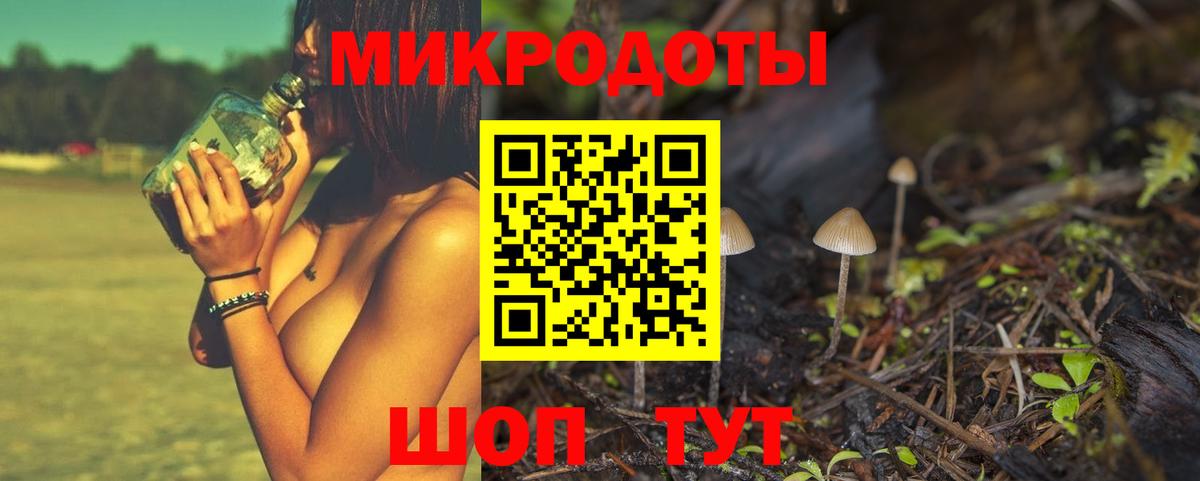 Псилоцибиновые грибы Cubensis Гусев