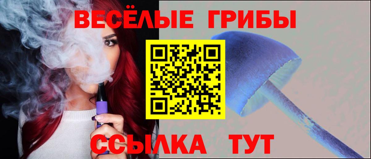 Гусев  Галлюциногенные грибы Psilocybe  Вход с VPN 