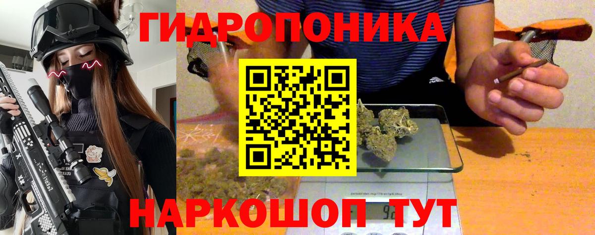 Каннабис индика Гусев